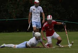 Image result for Skye Camanachd