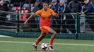 Image result for Epsom & Ewell Football Club