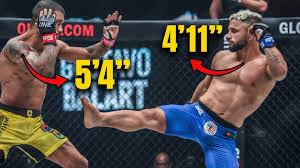 Image result for Silva L1 MidNite