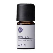 Image result for Ysop