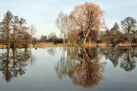 Image result for Mears Ashby Sports Club