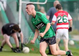 Image result for Patrick Sarsfield Gaelic Athletic Club