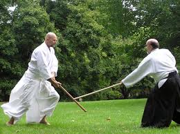 Image result for Ellis Schools of Traditional Aikido