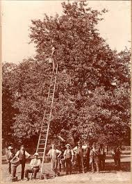 Image result for Croxley Green Old Time Dancing Club