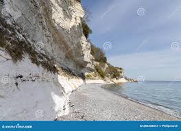 Image result for stevns klint