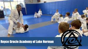 Image result for Derwent Jujitsu Academies