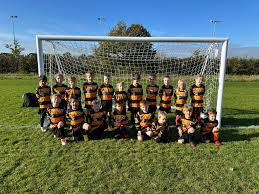Image result for Brendon Bees Junior Football Club