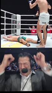 Image result for Chiltern MMA