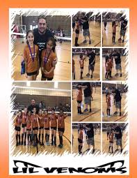 Image result for Chesterfield Cobras Volleyball Club