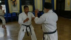 Image result for Goju.co.uk