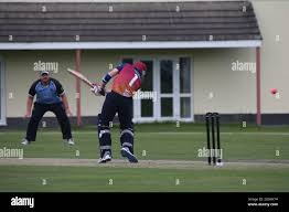 Image result for Bronwydd Cricket Club