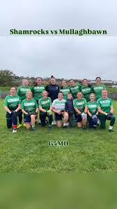 Image result for Shamrocks Hurling & Football Club
