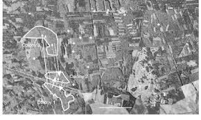 Attēlu rezultāti vaicājumam “Lopinga achine upperside”