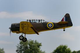 Image result for Windrush Vaulting Group