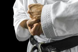 Image result for Caversham Karate Club SSKA