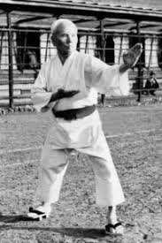 Image result for Ji Shin Do Karate