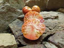 Afbeeldingsresultaat voor millionaire tomato