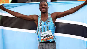 Image result for Tobogo