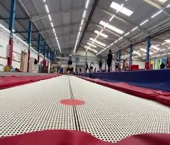 Image result for Basingstoke Gymnastics Club