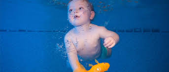 Image result for Cornish Swim Academy