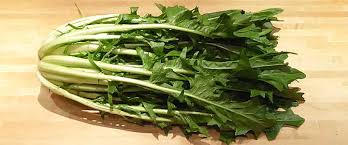 Image result for Zichorie