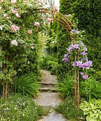 Attēlu rezultāti vaicājumam “Clematis flower”