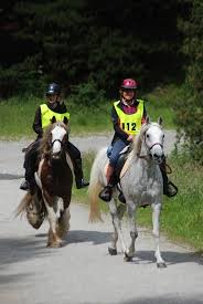 Image result for Civil Service Riding Club (Csrc)