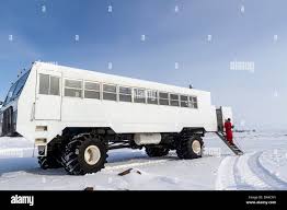 Image result for tundra buggy