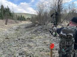 Image result for Derwynd Field Archery Club