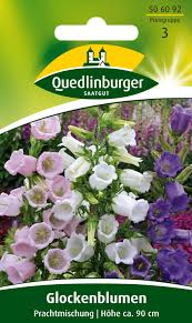 Image result for Glockenblumen