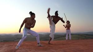 Image result for Brazilian-martial arts