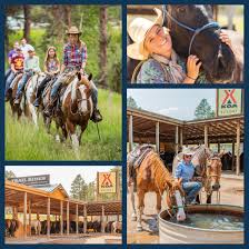 Image result for Palmers Riding Stables
