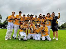 Image result for Mitcham Cricket Club