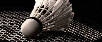 Image result for East Dean & Friston Badminton Club
