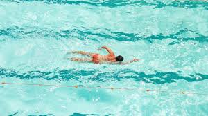 Image result for Swimming