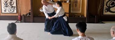 Image result for West Hampstead Aikido Club