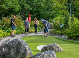 Image result for World Minigolf Sport Federation