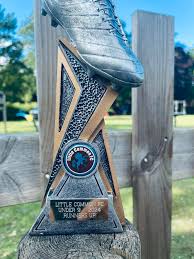 Image result for Little Common Community Sports Club