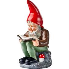 Image result for Gartenzwerg