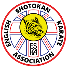 Image result for ZOKU SHOTOKAN KARATE (Baldock)