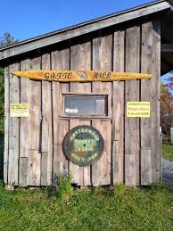 Image result for Property Gun and Punt Club