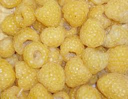 Attēlu rezultāti vaicājumam “Rubus idaeus fruit”