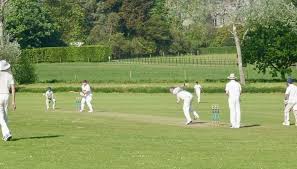 Image result for Cornwood Cricket Club