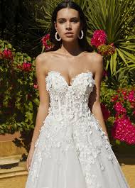 Image result for cosmobella