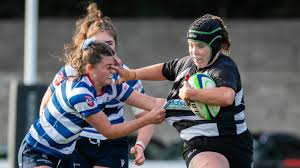 Image result for Belvedere Park Junior Football Club