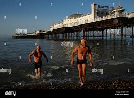 Image result for Brighton Swimming Club