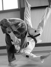 Image result for Holbrook Judo Club