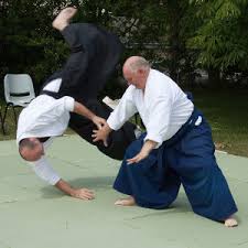 Image result for Coldharbour Aikido Club