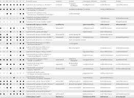 Attēlu rezultāti vaicājumam “Cephaloziella elachista”