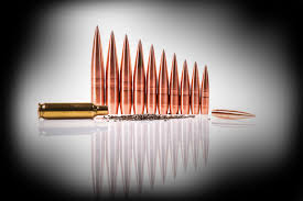 Image result for Barnsley Bullets